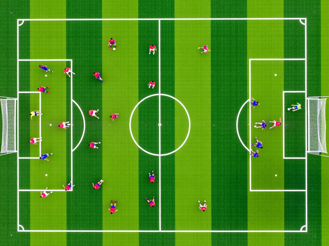 开云体育足球-中小学体育课推广防跌倒实用训练环节，防跌倒的题目  第2张