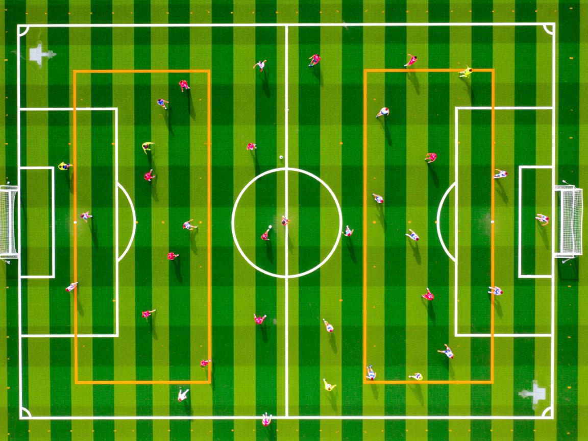开云体育在线下载-国家队主教练选聘流程缺乏透明，国家队主教练是什么级别  第3张