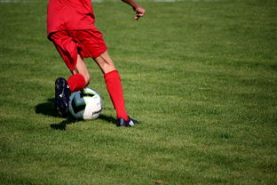 开云体育链接-体育新闻中心联合高校打造“体育+传媒”实践课程体系 第2张