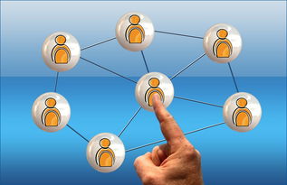 开云体育链接-体育新闻中心联合高校打造“体育+传媒”实践课程体系 第3张